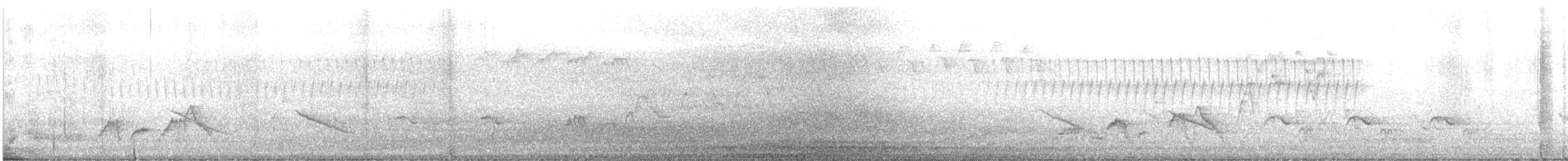 Bülbül Ardıcı [swainsoni grubu] - ML572512911