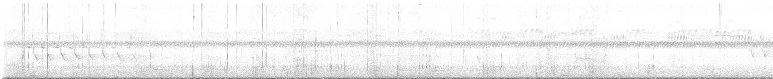 Bachman's Sparrow - ML572513111