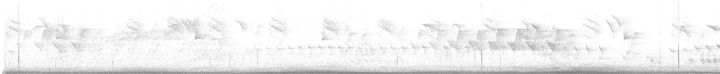 Prothonotary Warbler - ML572513971