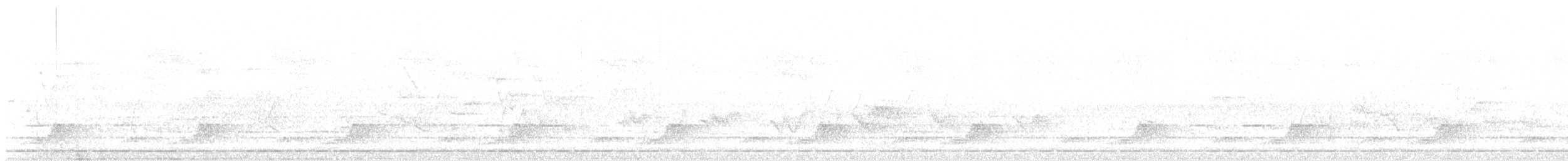 Schwarzkehl-Nachtschwalbe - ML572541771