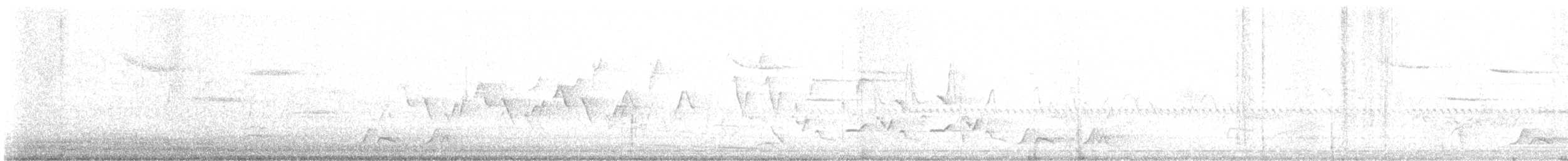 Chuck-will's-widow - ML572544021