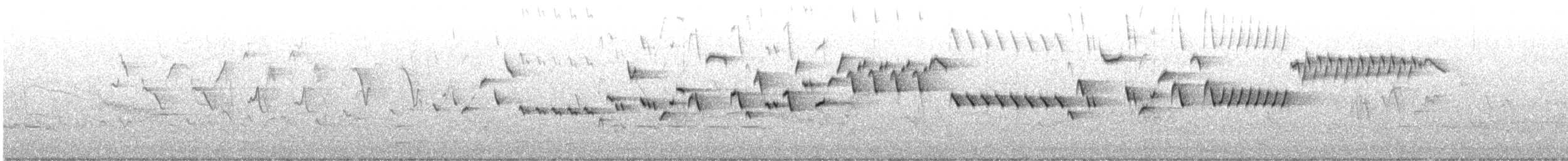 フユミソサザイ - ML572551231
