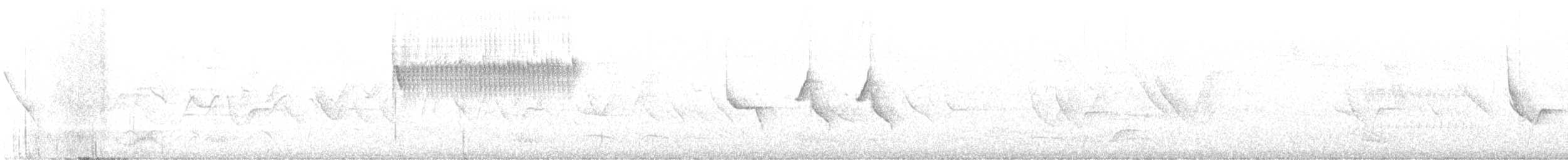 Percefleur à flancs blancs - ML572566151