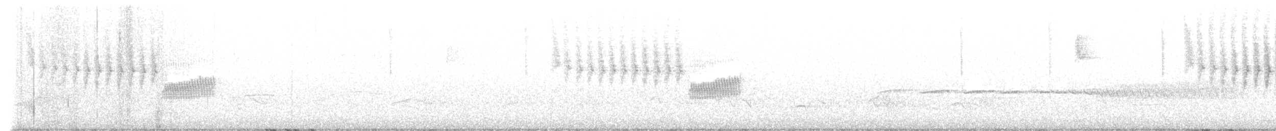 Голубокрылая червеедка - ML572573041