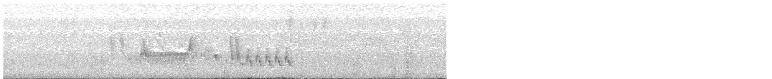 Southern House Wren - ML572574581