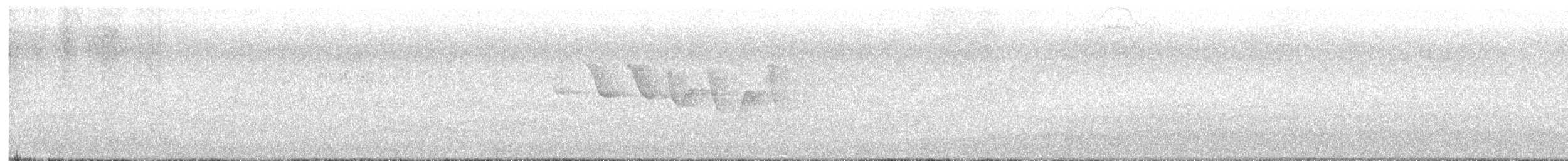 Трясогузковый певун - ML572576191