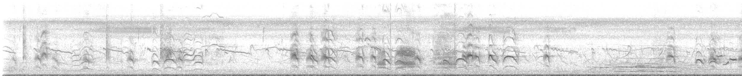 Schwefelmaskentyrann - ML572592141