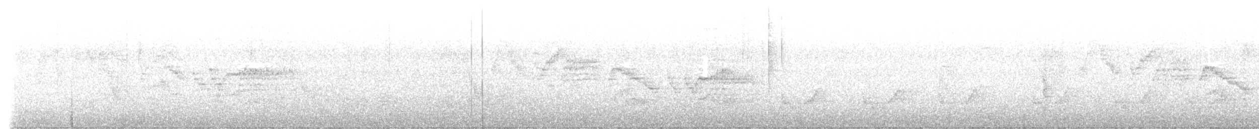 Bicknell's Thrush - ML572602681