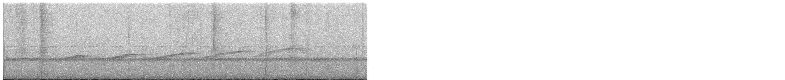 Мурав’янка-куцохвіст велика - ML572621461