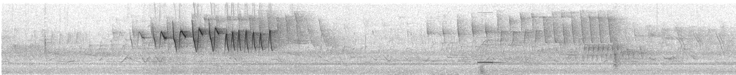 Nashville Warbler - ML572633981
