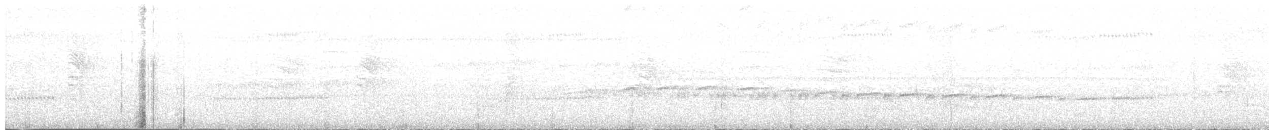 Spotted Antbird - ML572641971