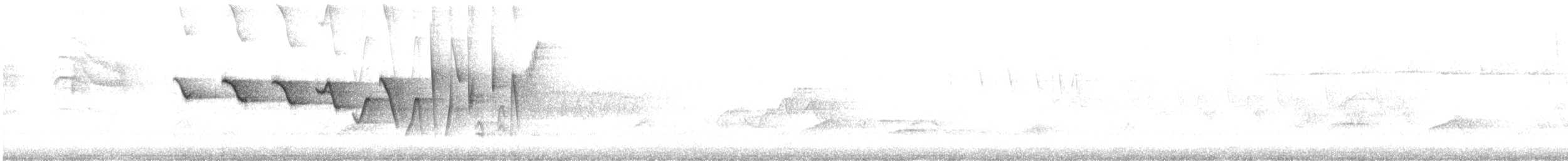 Трясогузковый певун - ML572652121