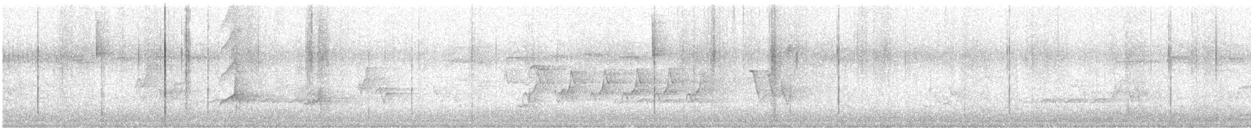 Kentucky Warbler - ML572661421