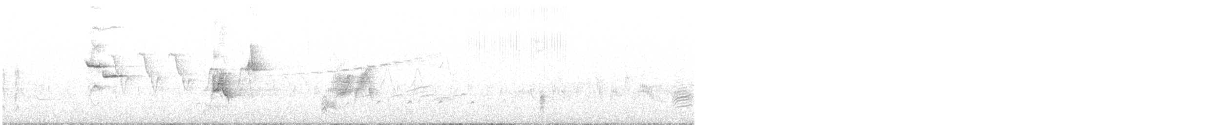 Moucherolle des aulnes - ML572683551