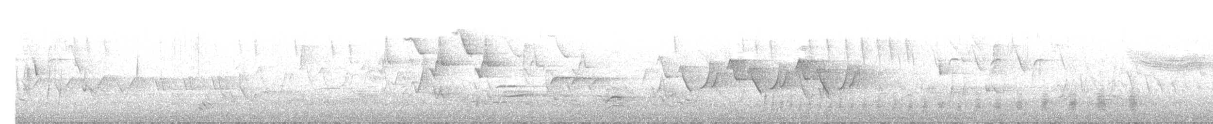 Ictérie polyglotte - ML572701981