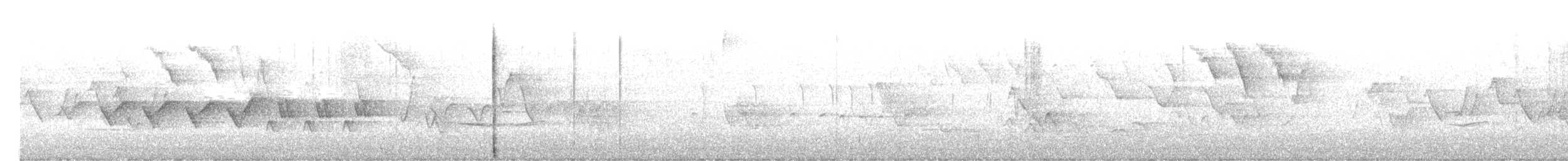 Paruline du Kentucky - ML572702601