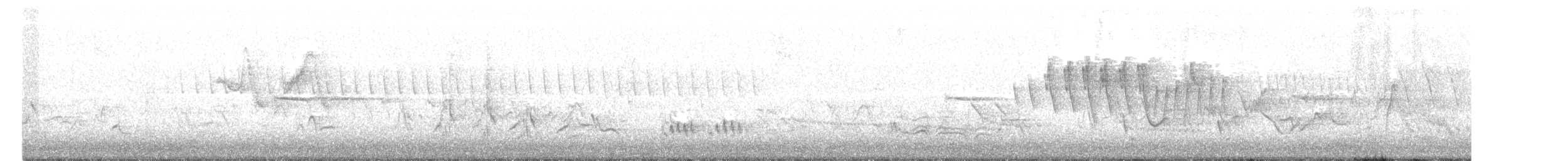 Малая вильсония - ML572703051