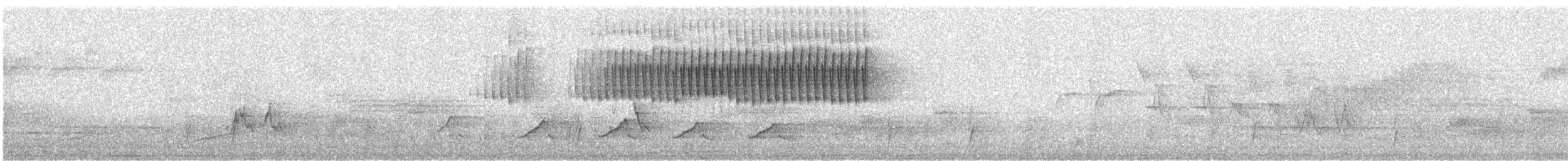 Paruline vermivore - ML572753141