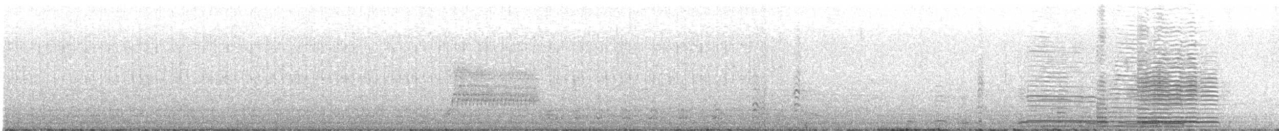 Cisne Trompetero - ML572796261