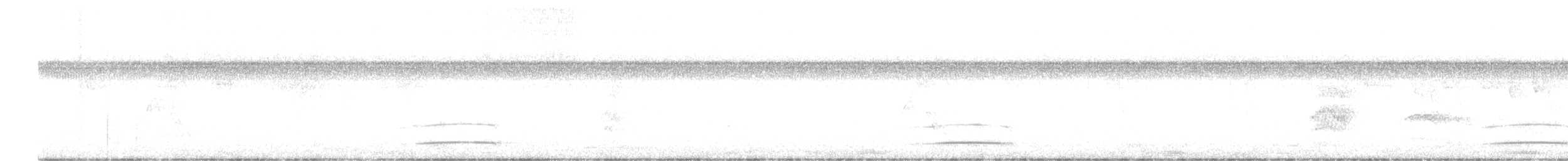 Swainson's Flycatcher - ML572816841