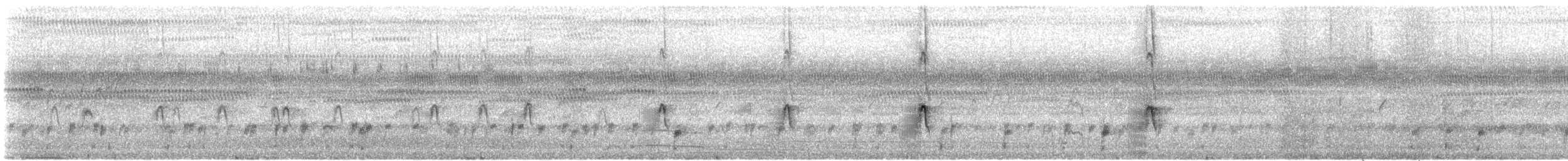 Engoulevent trifide - ML572827441