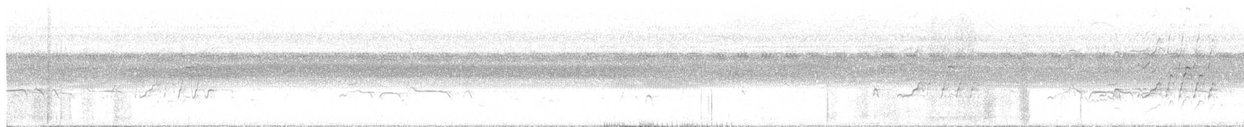 Pauraquenachtschwalbe - ML572829471