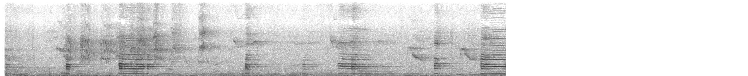 Острохвостый ибис - ML572830001