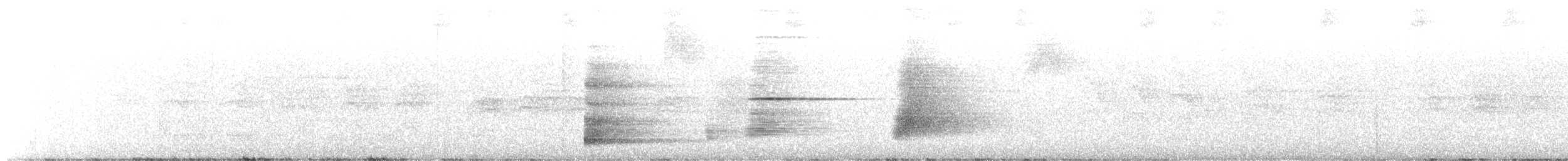 zvonovec trojhrotý - ML572862021