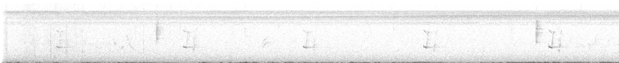 new world oriole sp. - ML572863951