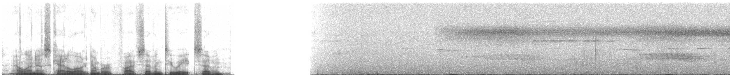 Кокоа плямистий [група aequatorialis] - ML57287