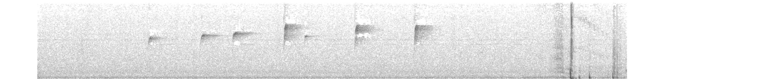 Olivscheitel-Breitschnabeltyrann (confusus) - ML572900121