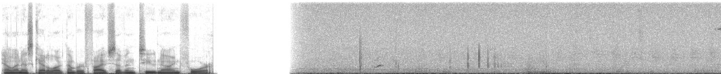 Uzun Kuyruklu Kolibri - ML57294