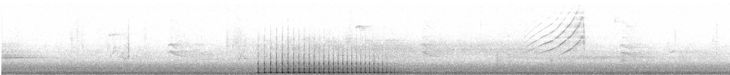 Pileated Woodpecker - ML572964161