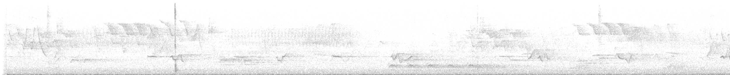 Red-eyed Vireo - ML572974441