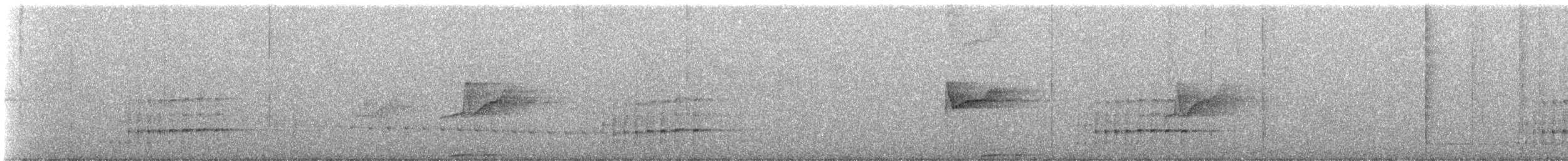 Карликовый тоди-тиранн - ML573000791