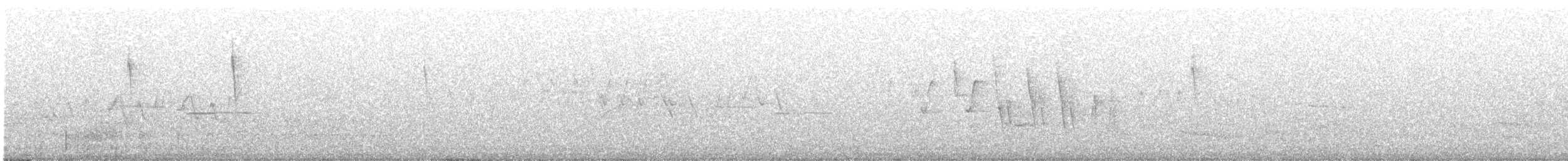 Northern Waterthrush - ML573000891