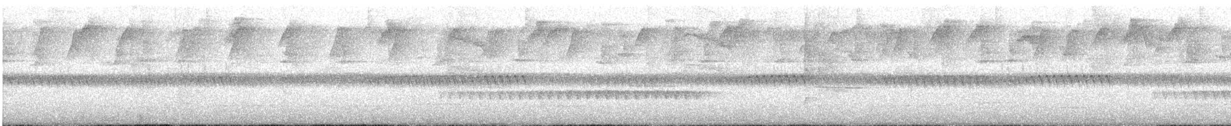 Серогорлый колибри-отшельник - ML573029151