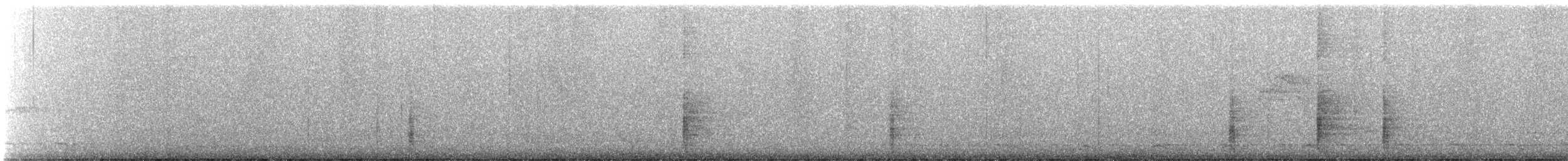 Kara Kanatlı Borazankuşu - ML573030351