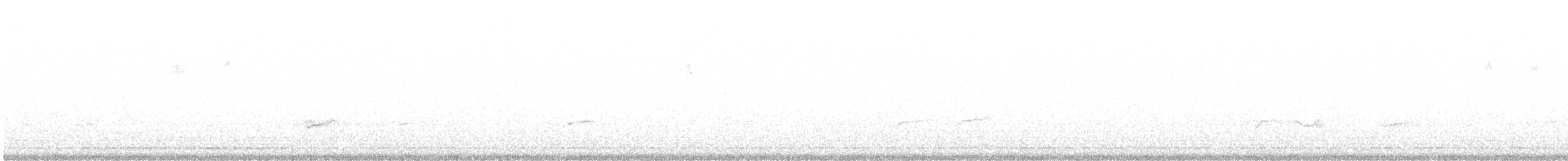 Дрізд-короткодзьоб Cвенсона - ML573031221