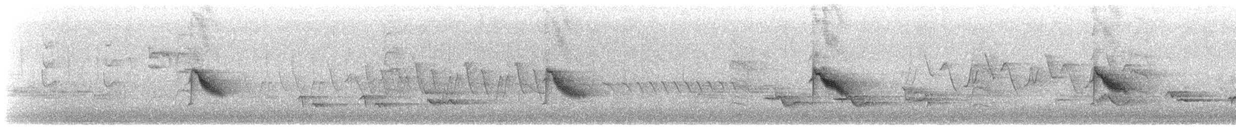 Дрізд-короткодзьоб канадський - ML573059251