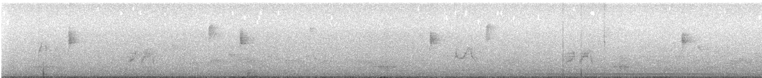 tyranovec olšový - ML573101541