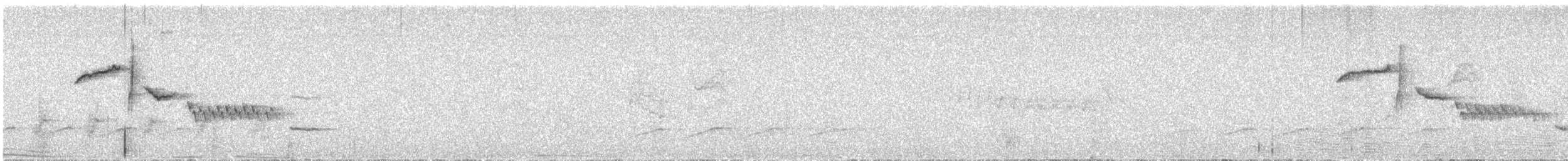 Troglodyte de Bewick - ML573123401