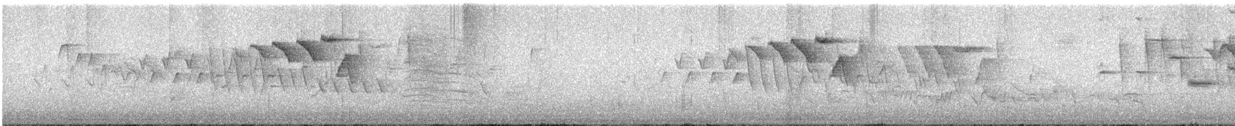 Черногорлая хвойница - ML573124531