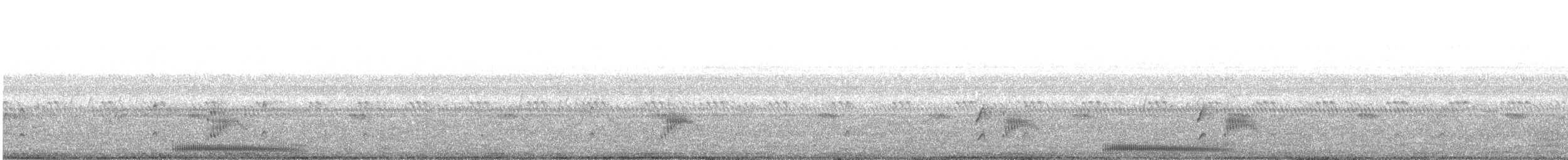 Pauraquenachtschwalbe - ML573124921