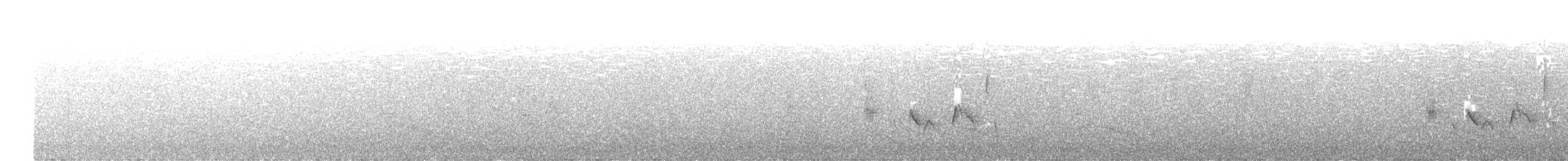 White-eyed Vireo - ML573135271