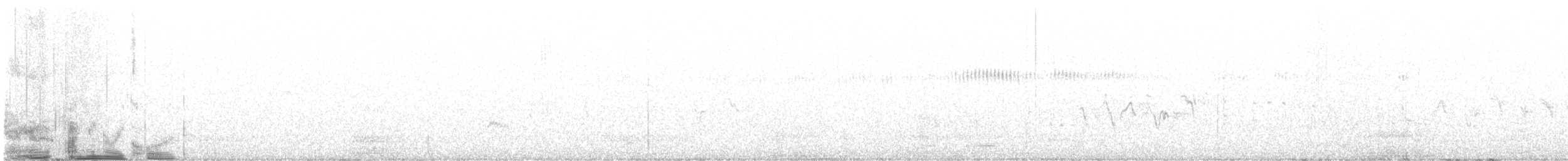 Geniş Kuyruklu Kolibri - ML573138241