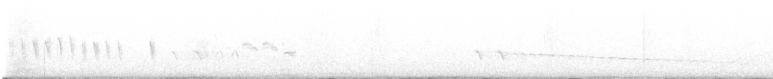 Білозорка фіолетова - ML573138631
