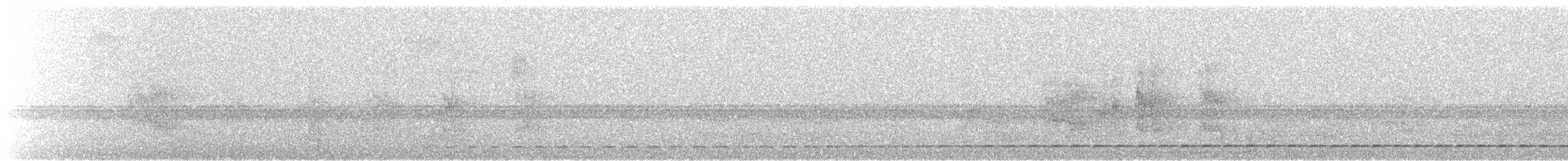 Streifenbrust-Ameisendrossel - ML573151051