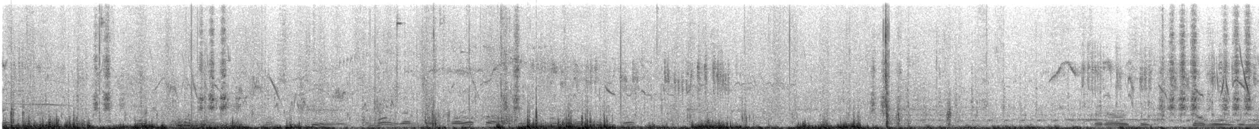 maghrebskjære - ML573167021