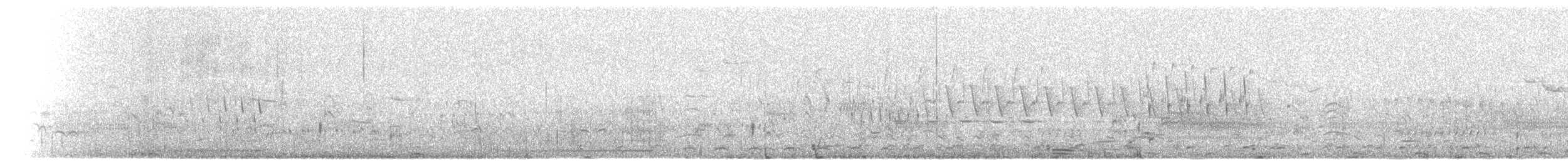 Cisne Trompetero - ML573244481